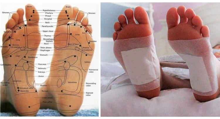 How does Xitox work?