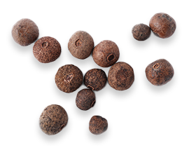 Joint Genesis Ingredients