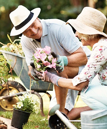 Joint Genesis Benefits